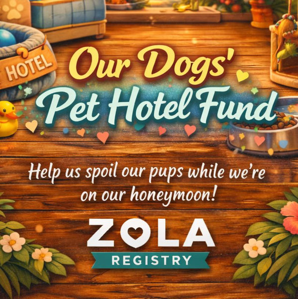 Pet Hotel For Our Honeymoon