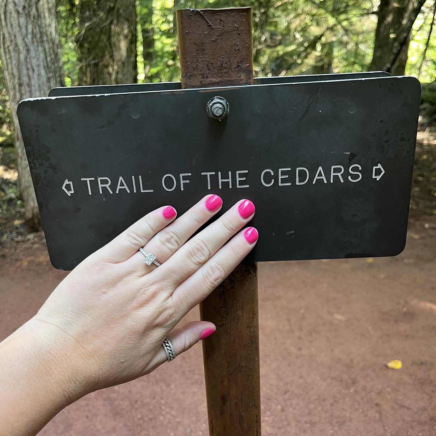 The trail we hiked!