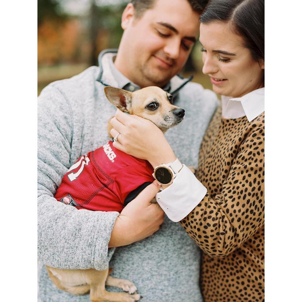 The best thing of 2020 has been adopting our lovely girl, Missy