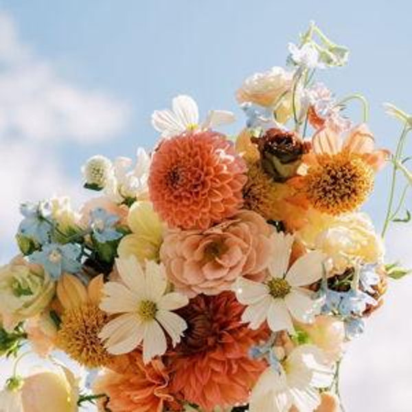 Our Newlywed Fund
