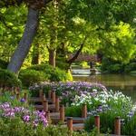 Missouri Botanical Garden