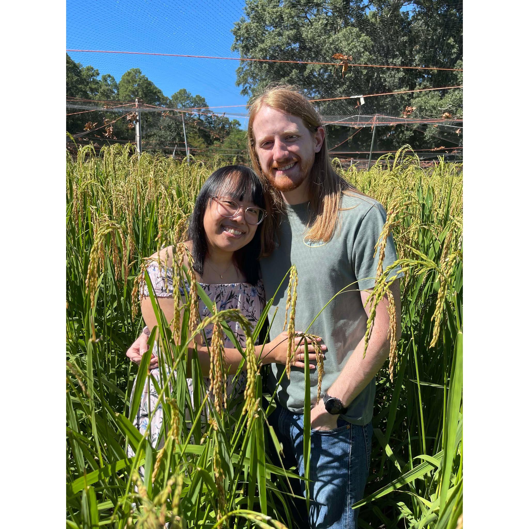 A picture of them in Nalee's mother's rice field.
