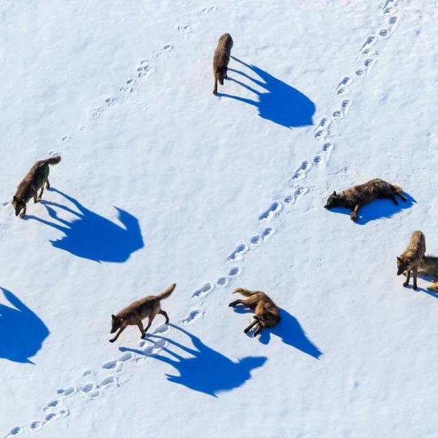 Archival Print by Ronan Donovan