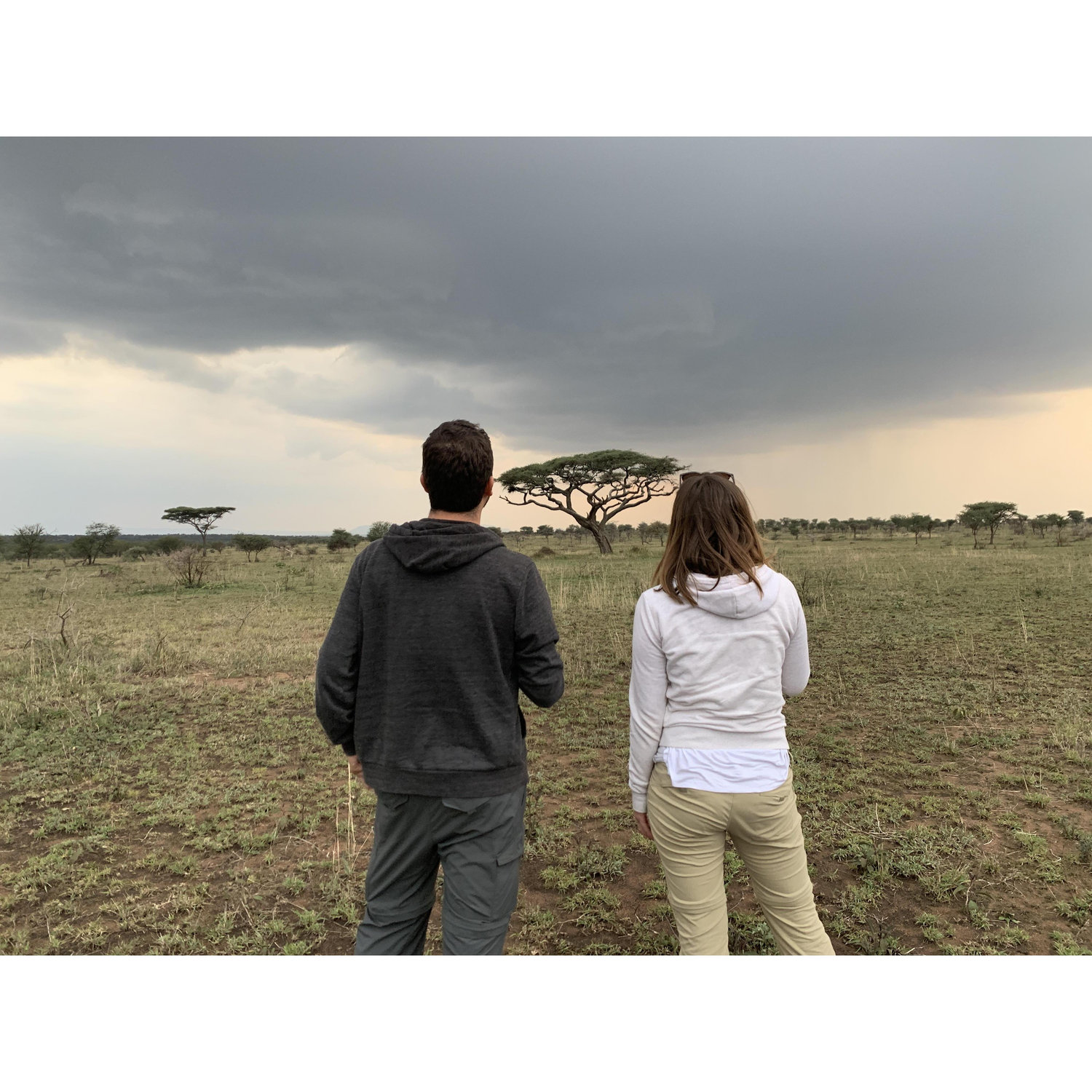 Serengeti National Park, Tanzania