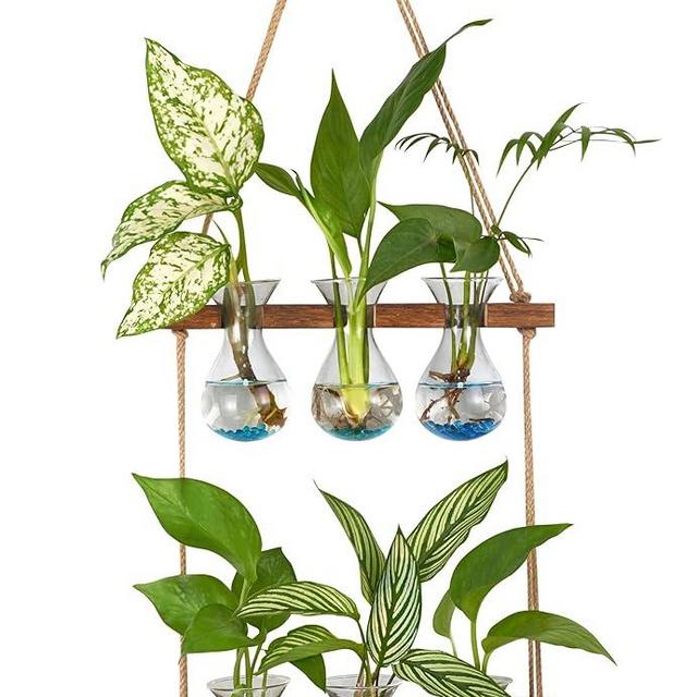 XXXFLOWER Wall Hanging Propagation Station with Wooden Stand 3 Bulb Vase 2 Tiered Planters Wall Terrarium for Home Office Plant Hanger Flower Vases Wall Decor