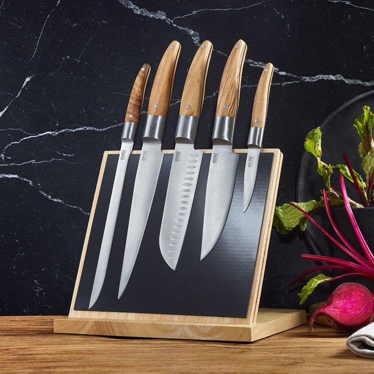 Jean Dubost 4 Piece Kitchen Knife Set on Magnetic Block