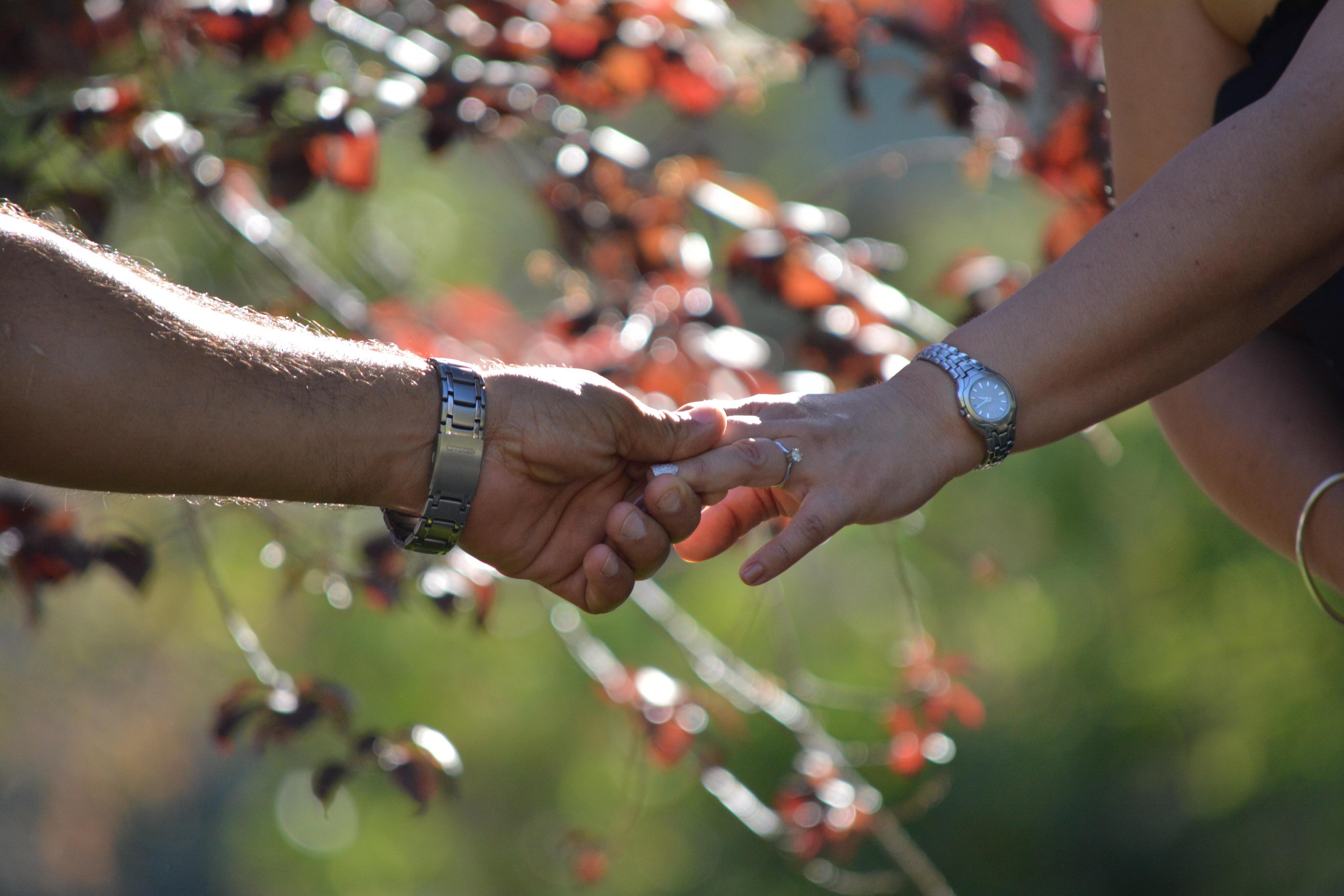 The Wedding Website of Ivan Gonzalez and Maria Duran