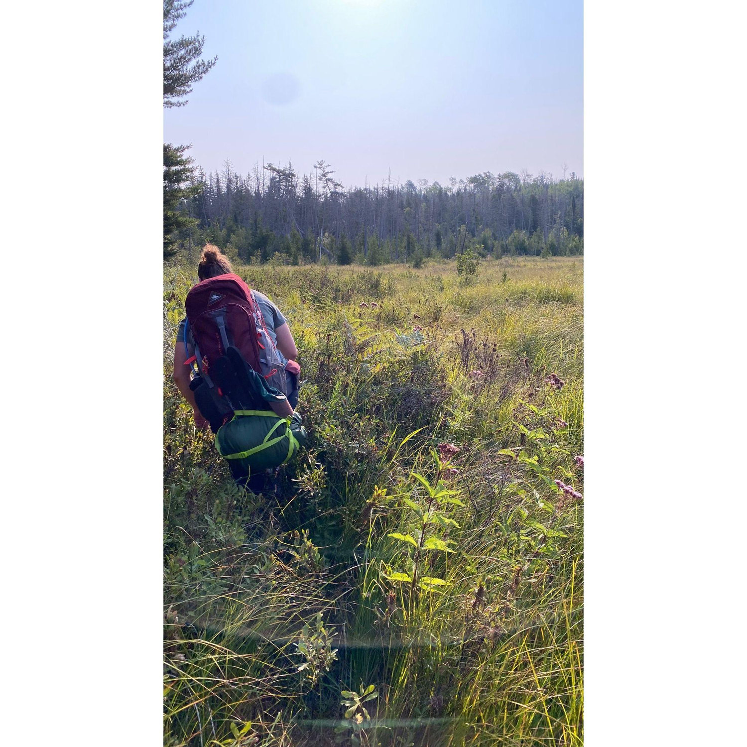Our trip to Isle Royale National Park!