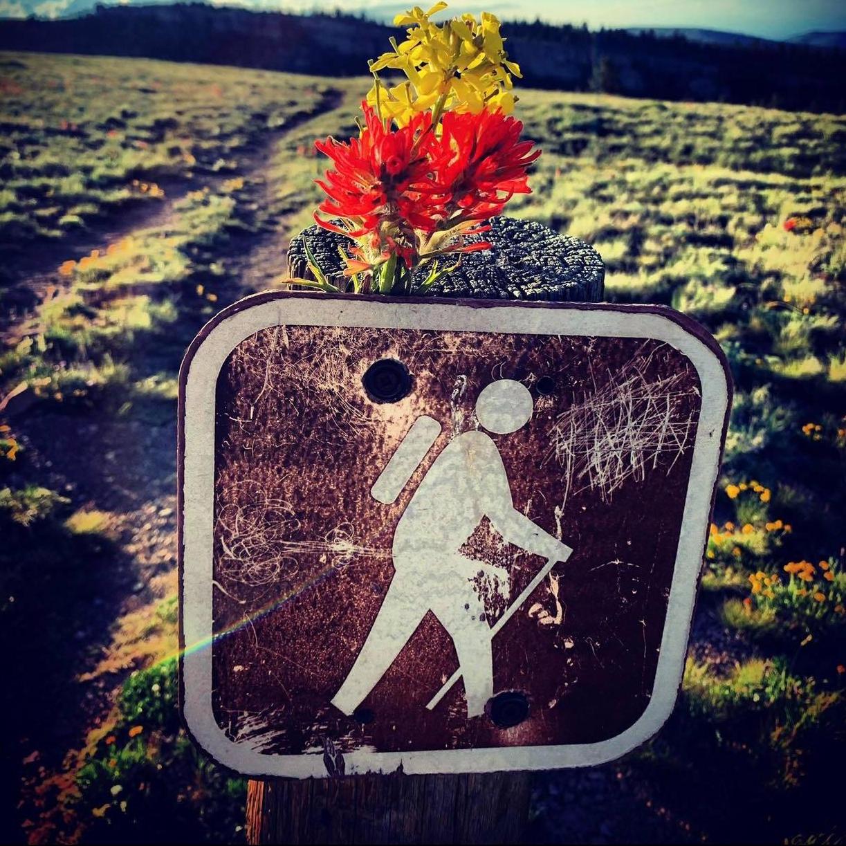 He had me at wildflowers