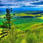 Kamiak Butte