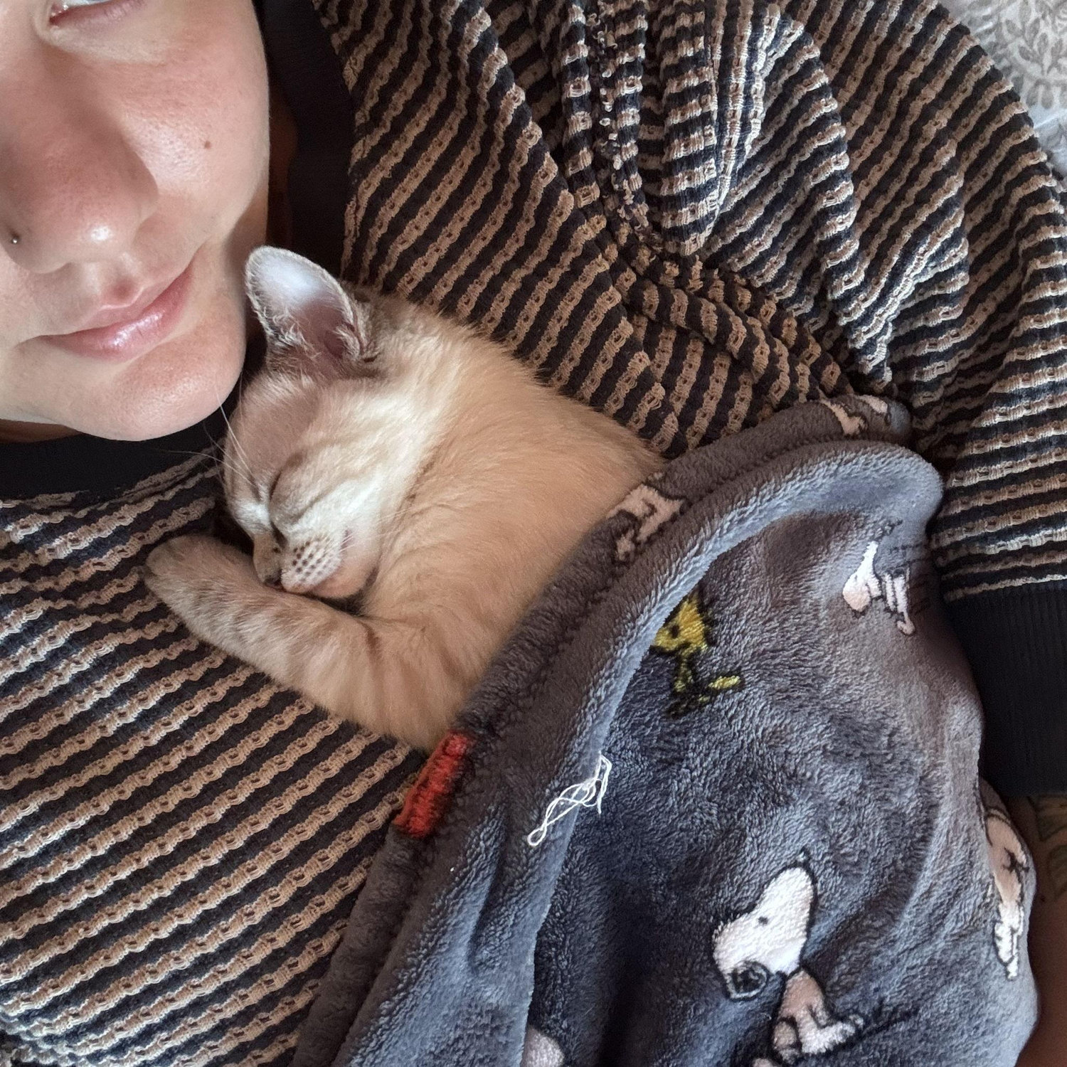 Our newest addition, Blue