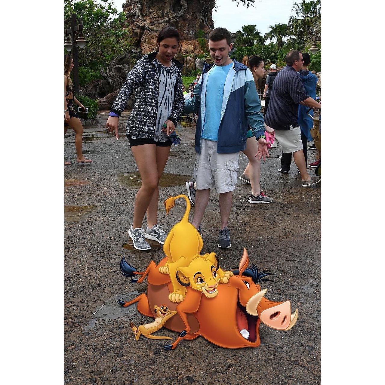 Hakuna Matata in Animal Kingdom May 2019