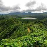 Grand Étang National Park