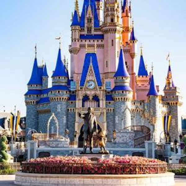 Disney World Fund