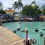 Robbie's of Islamorada