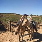 Wine Country Trails by Horseback