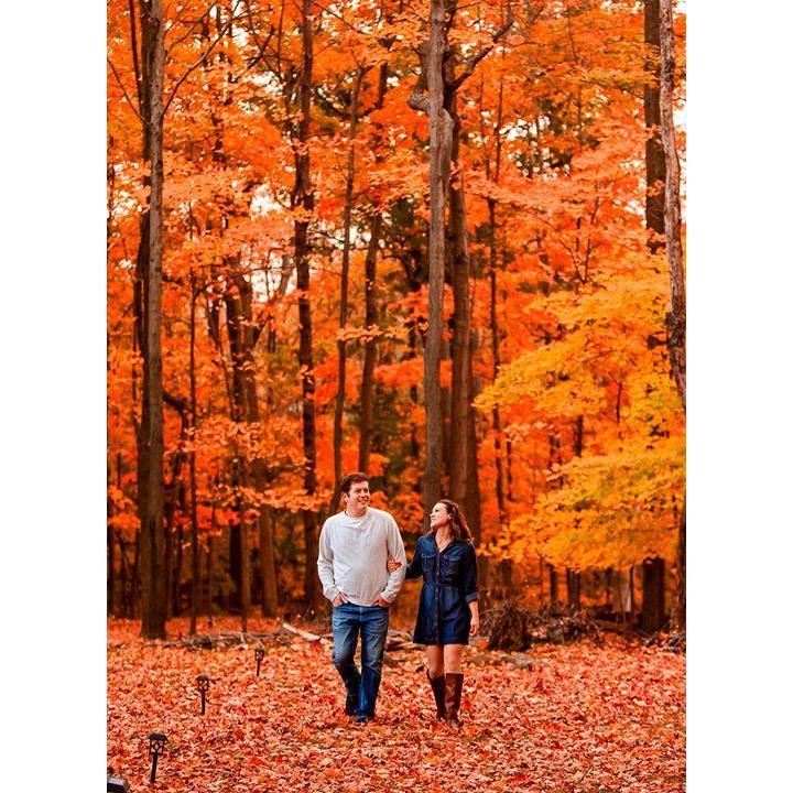 Engagement photos in the backyard