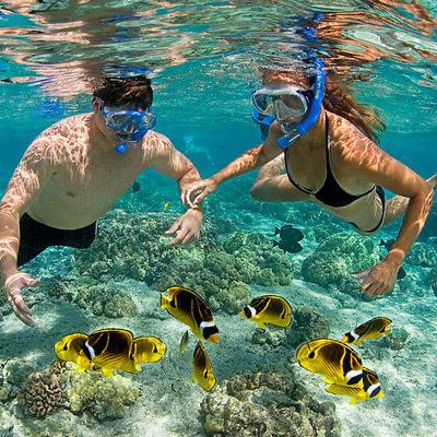 Snorkeling