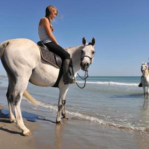 Private Horseback Ride in Grand Cayman
