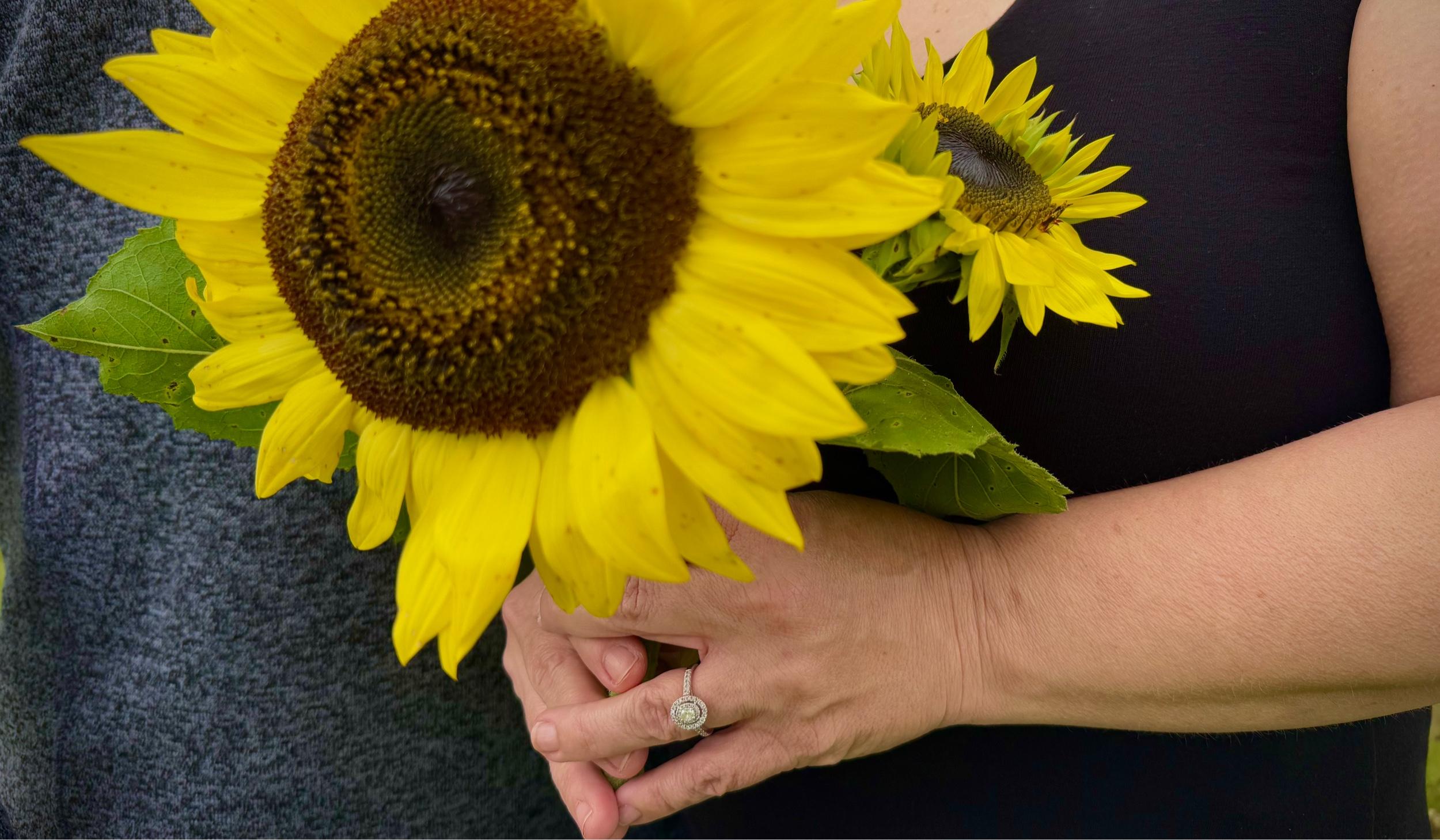 The Wedding Website of Sheri Luedtke and Travis Williams