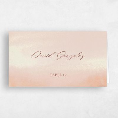 Peach Sorbet, Orange Wedding Place Card - Colt