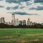Zilker Park
