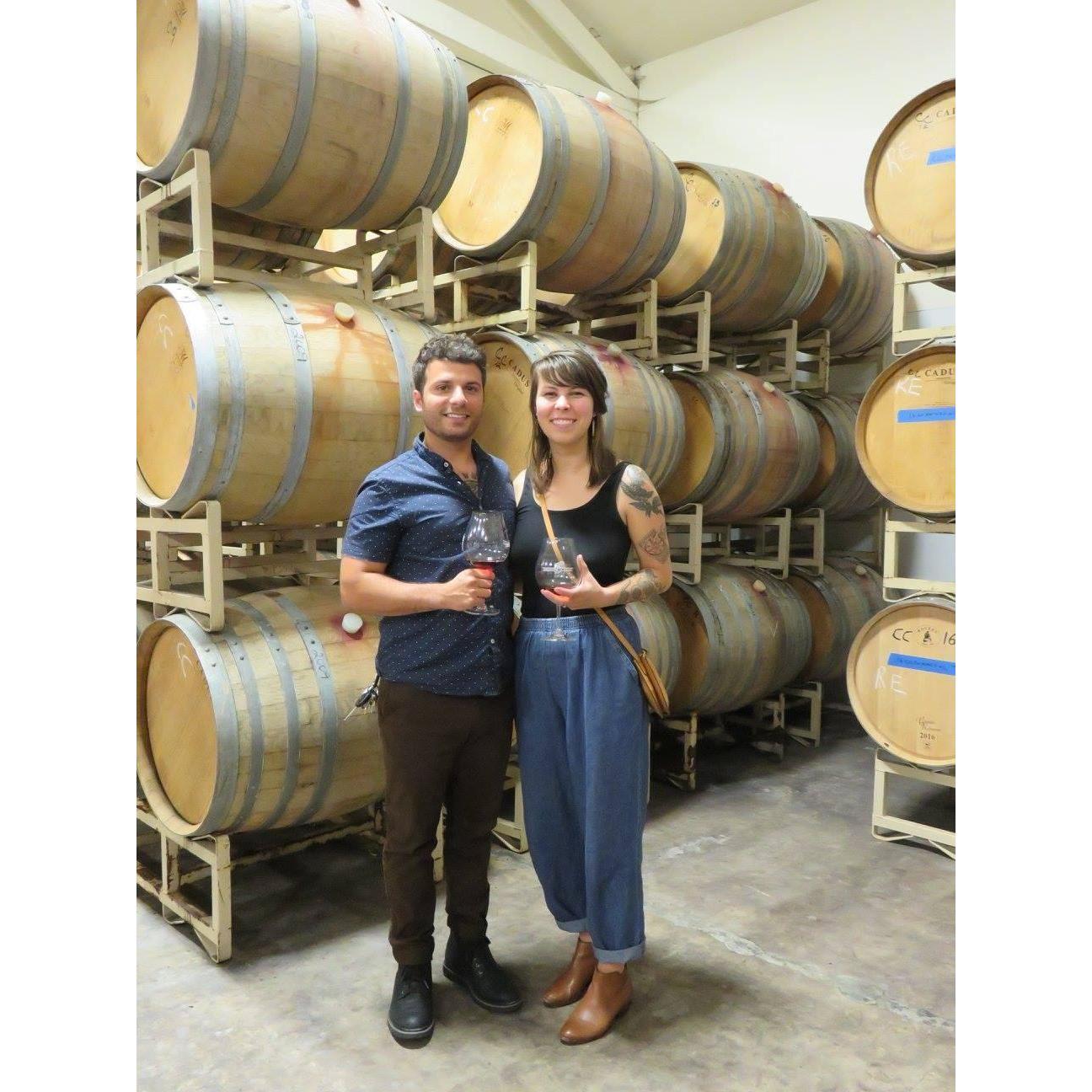 Wine tasting, Willamette Valley