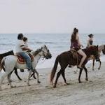 Amelia Island Horseback Riding
