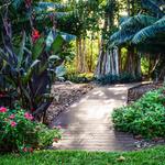 Marie Selby Botanical Gardens