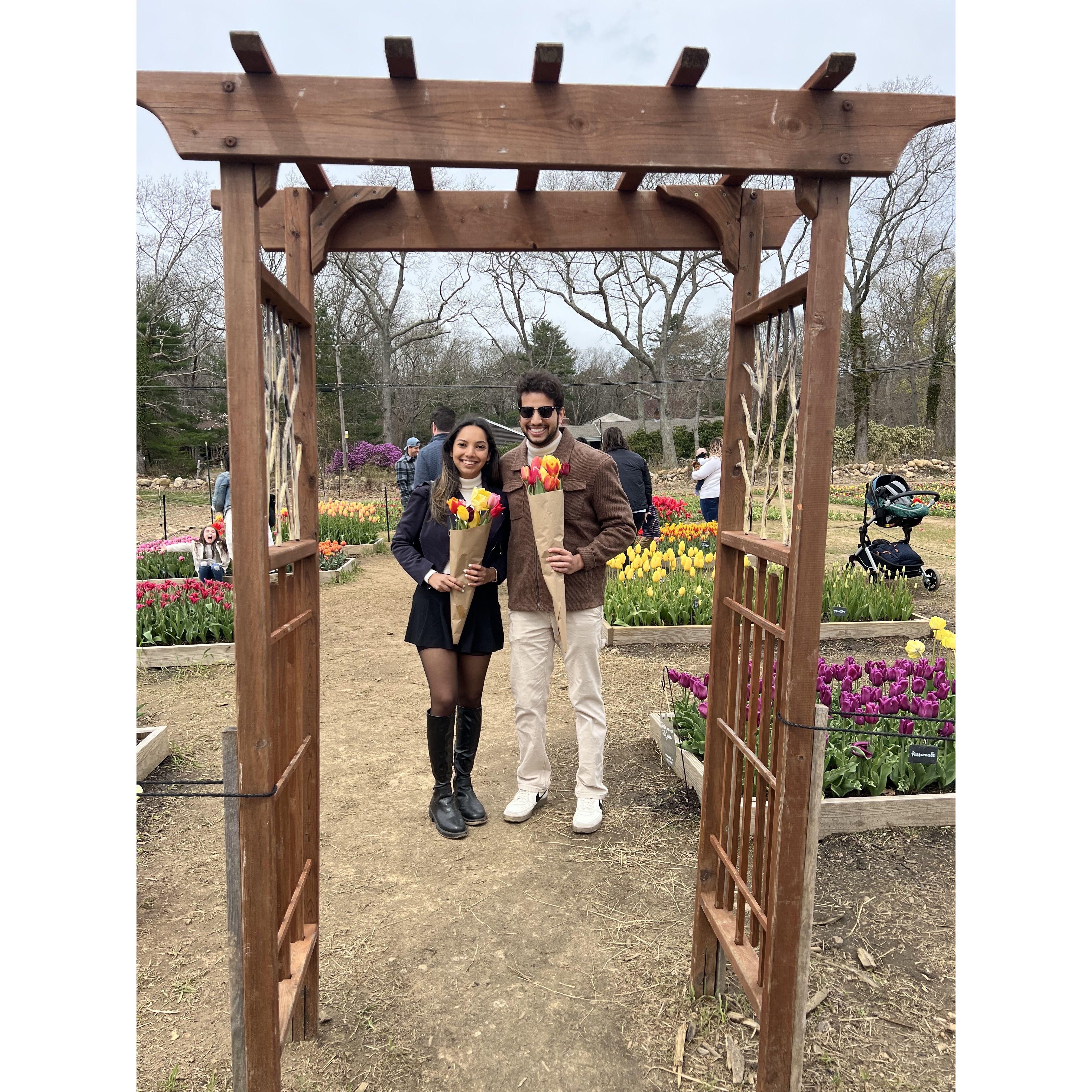 Tulip Festival 2024