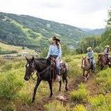 Vail Stables