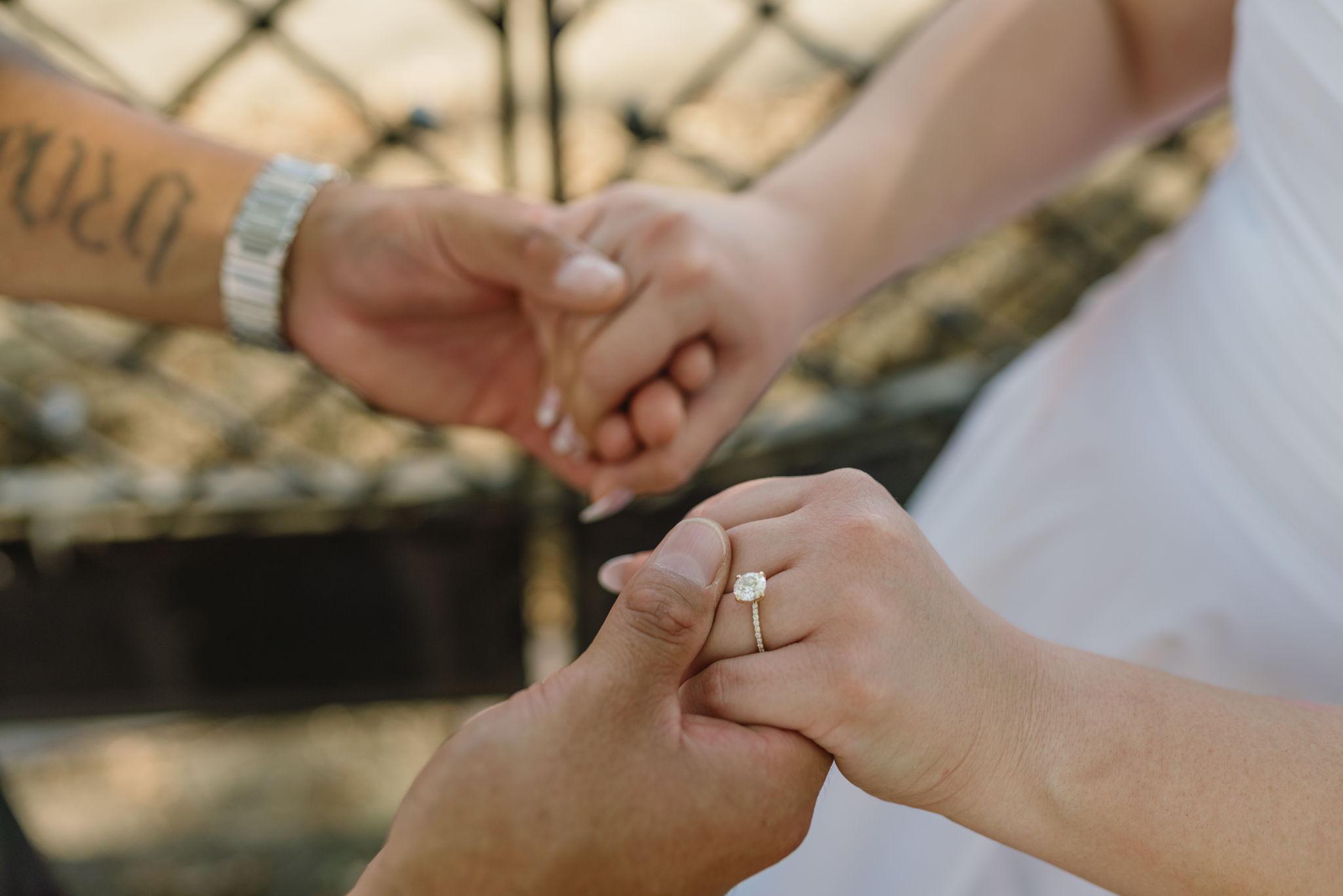 The Wedding Website of Brandon Desnomie and Christina Boyachek