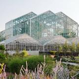Frederik Meijer Gardens & Sculpture Park