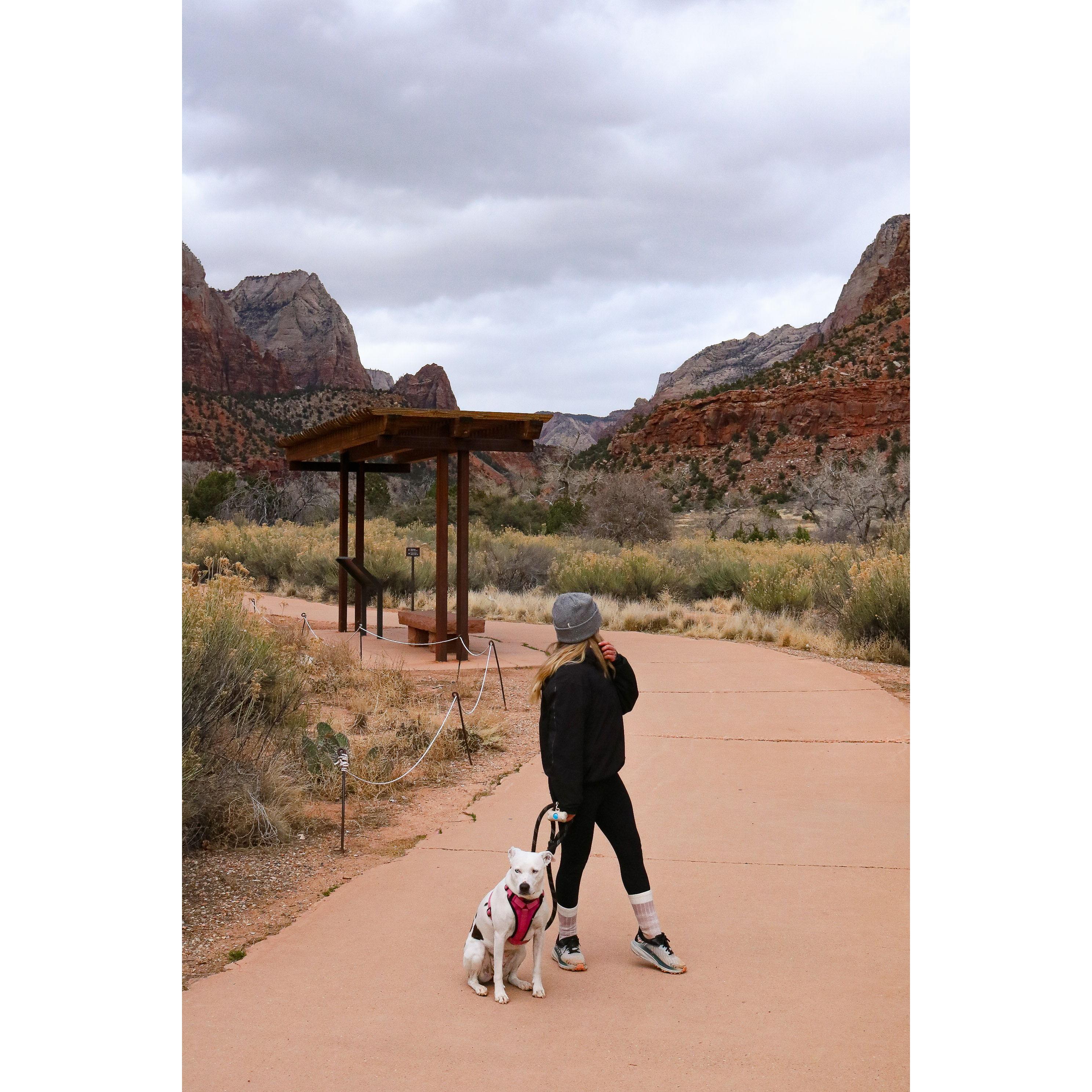 Zion National Park