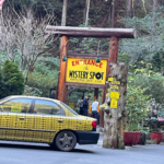 The Mystery Spot