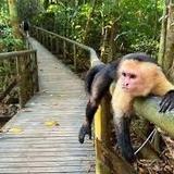 Manuel Antonio National Park