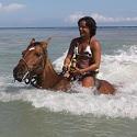 Horseback Riding