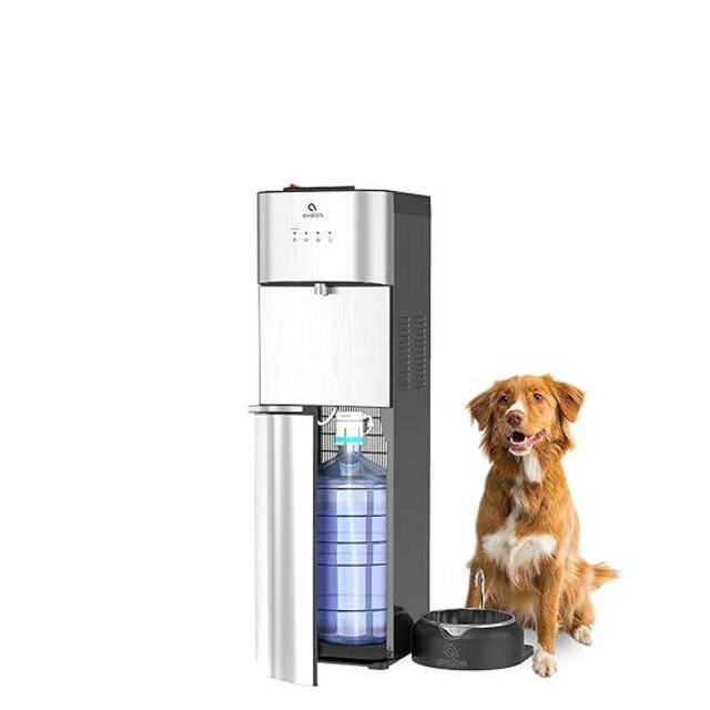 Avalon Limited Edition Self Cleaning Water Cooler Water Dispenser with Pet Bowl- 2 Temperature Settings - Hot & Cold, Durable Stainless Steel Construction, Bottom Loading - UL Listed