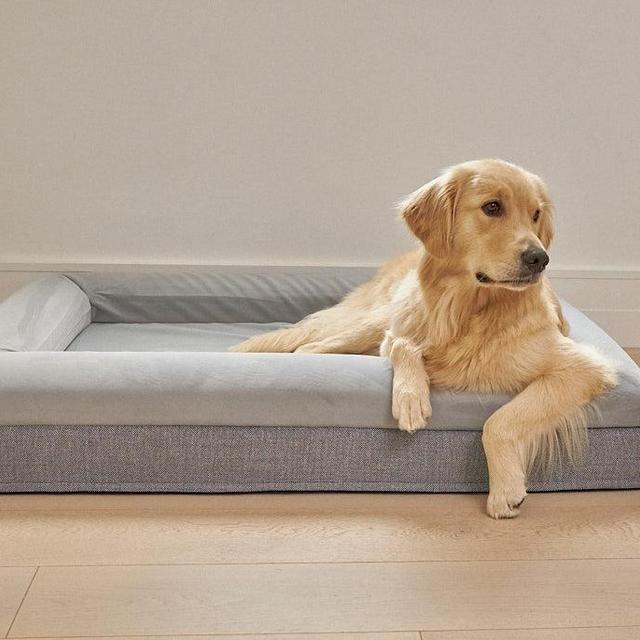 Large Barney Bed