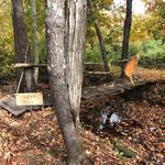 Oak Lodge Trails