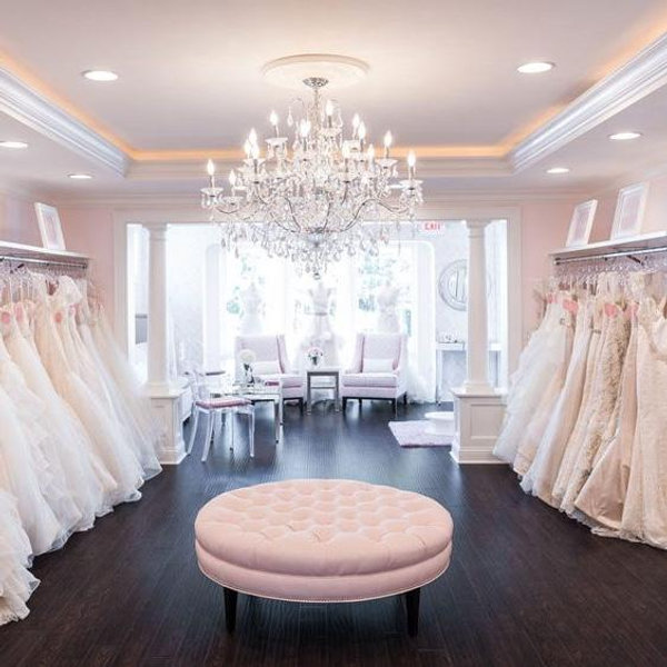 Bride’s Dream Wedding Dress