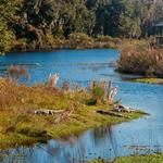 La Chua Trail