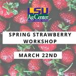 Spring Strawberry Workshop