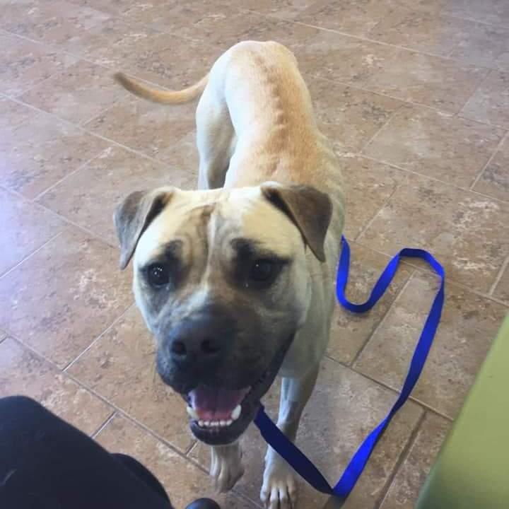 This is skinny little Maeve on Adoption Day.