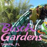 Busch Gardens Tampa Bay