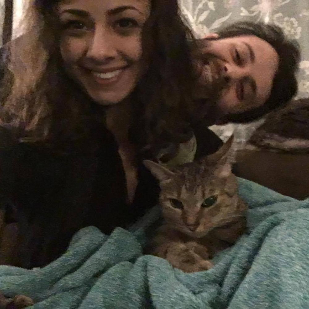 First family portrait of 2017, with our only girl kitty Selina