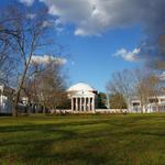 The Lawn