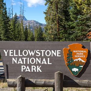 Yellowstone & Grand Teton National Park Pass
