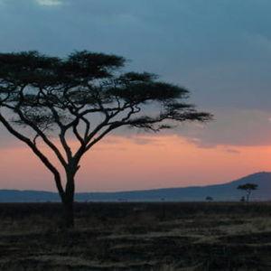 MWAMBA SUNSET PICNIC