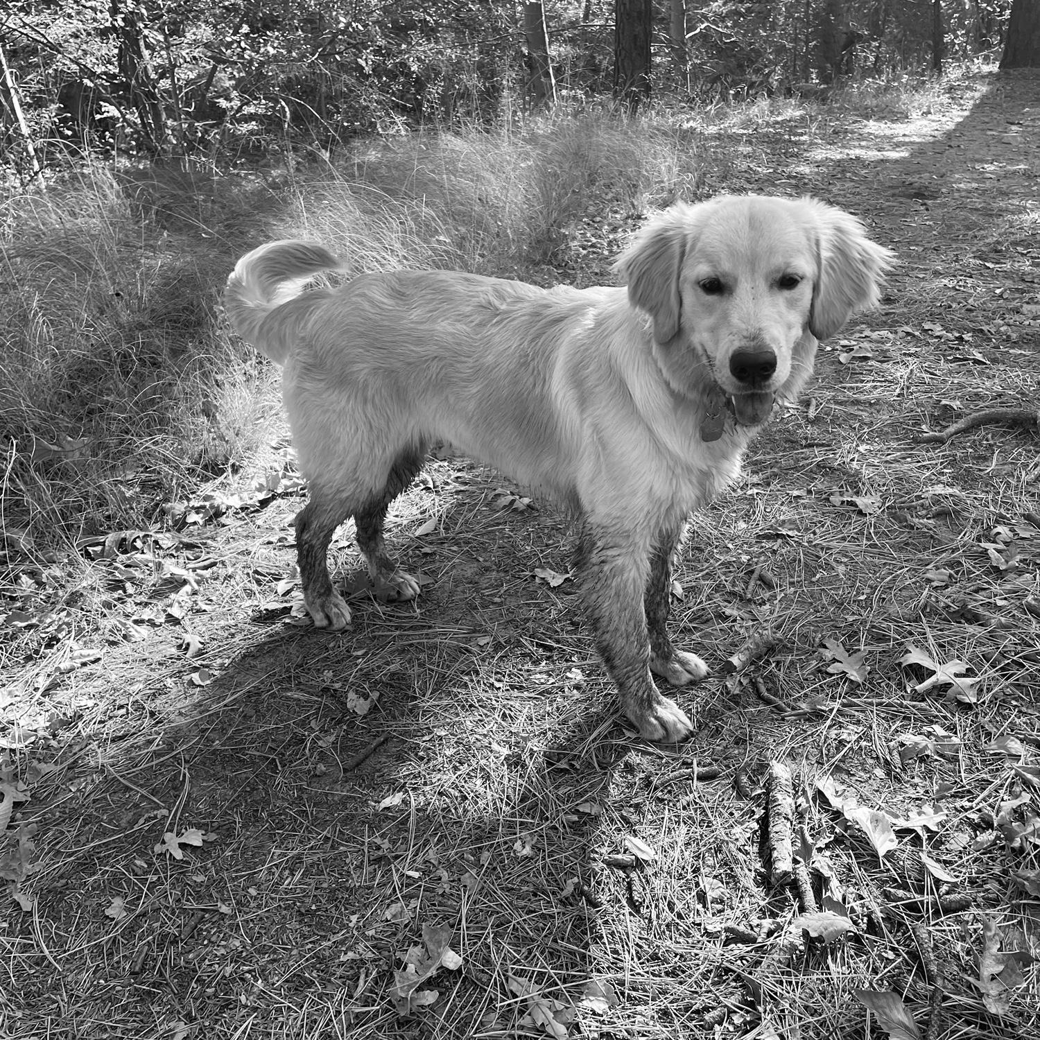 Olive on one of her many outdoor adventures